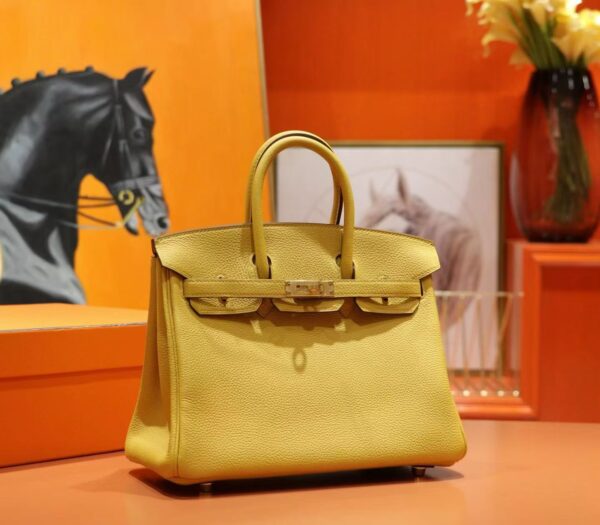 DR96 Factory Birkin Togo Leather Amber Yellow Gold Hardware 25cm Full Handmade