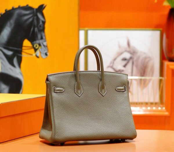 2026-04-18_091329_314 DR96 Factory Birkin Togo Leather Etoupe Grey Silver Hardware 25cm Full Handmade