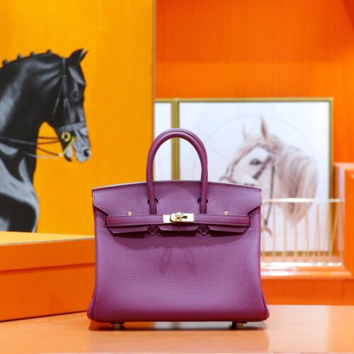 DR96 Factory Birkin Togo Leather Anemone Purple Gold Hardware 25cm Full Handmade